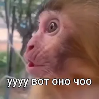 😵