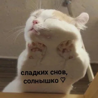 💤