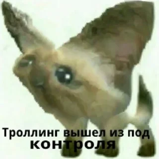 😢