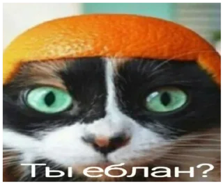 ❓