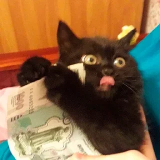 🤑