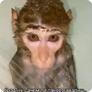 🥺