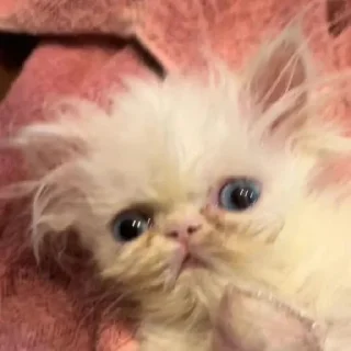 😨