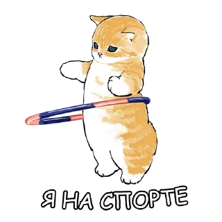 💪