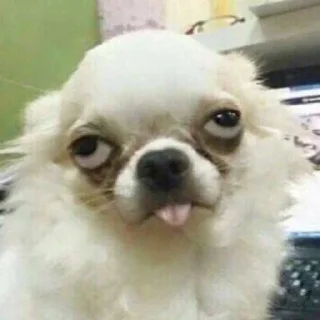 🙄