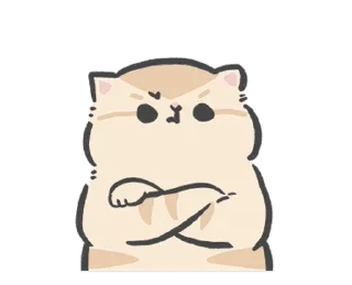 🐱