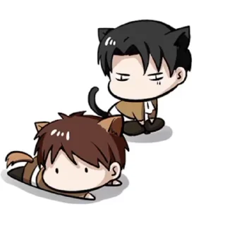 🐈‍⬛️