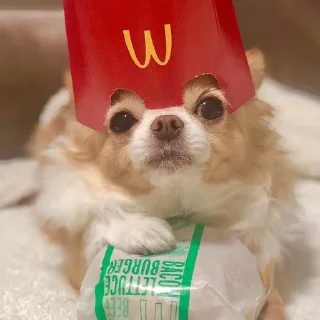 🤨