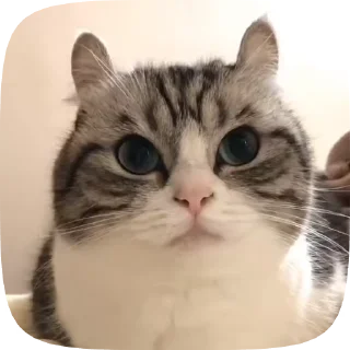😉