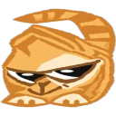 😼