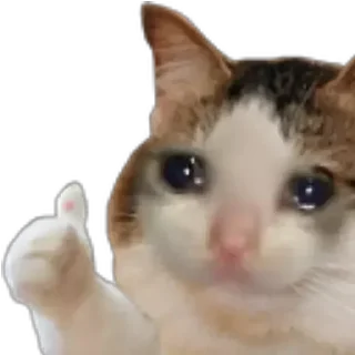 👍