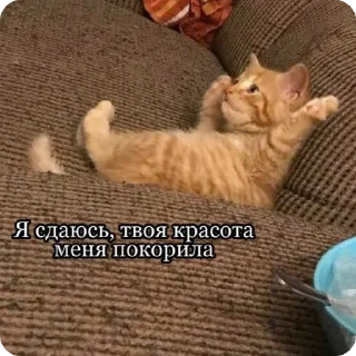 😍
