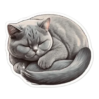 😴