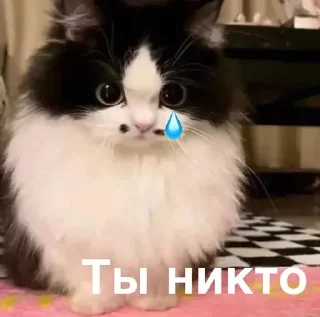 ⚫️