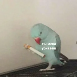 🚬