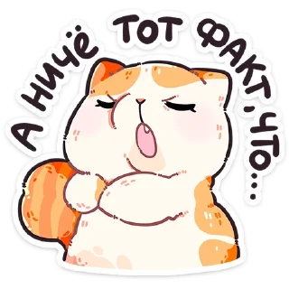 🐱