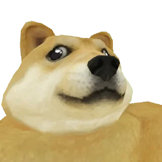 🐶