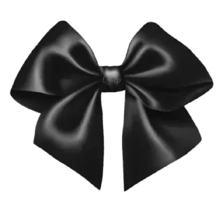 🎀