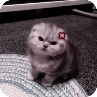 😡