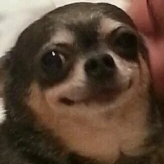 🙂