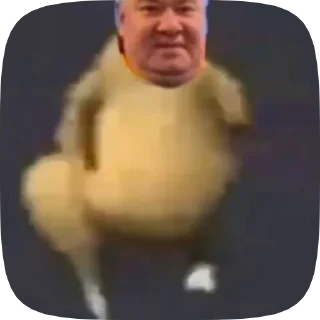 🤪