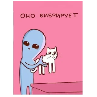 🐈