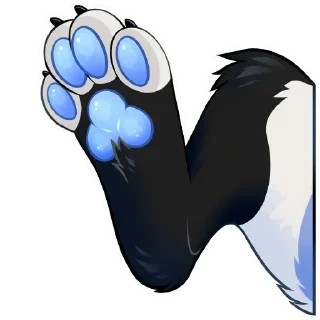 🐾