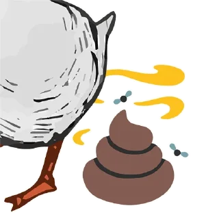 💩
