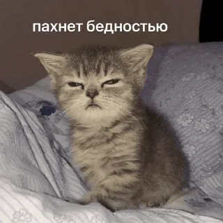😤