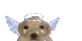 😇