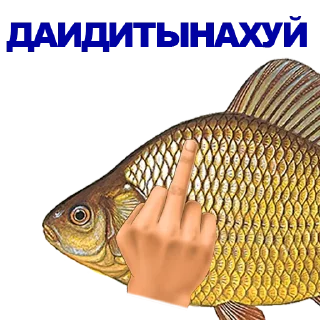 🐠