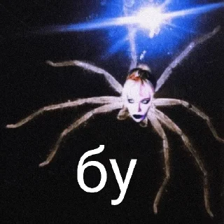 🕷