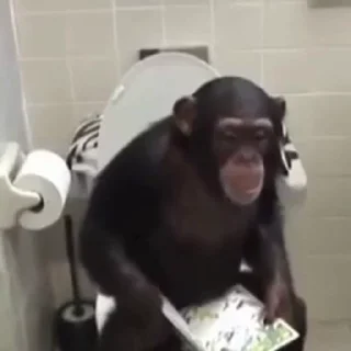 🚽