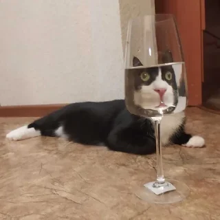 😳
