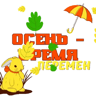 🍁