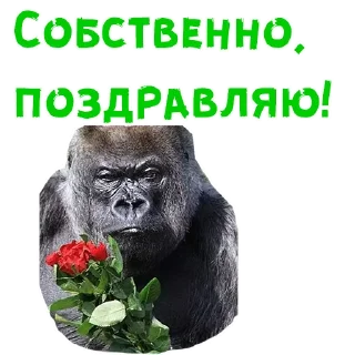 Женский день :: @animesticks