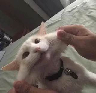 🤗