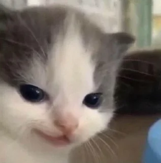 😏
