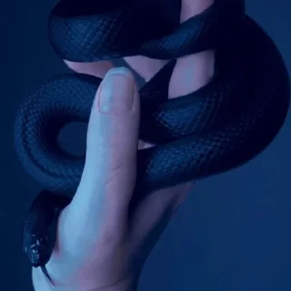 👁️‍🗨️