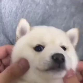 🤗
