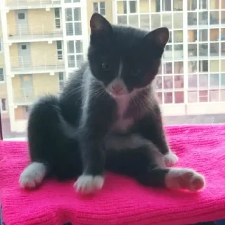 😊