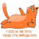 😼