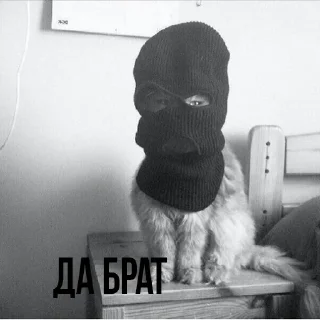 💶