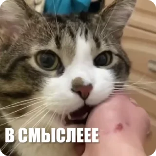 🤨