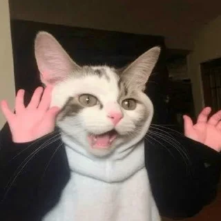 😂