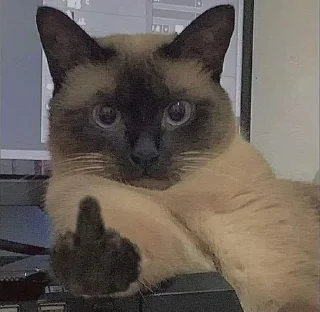 🖕