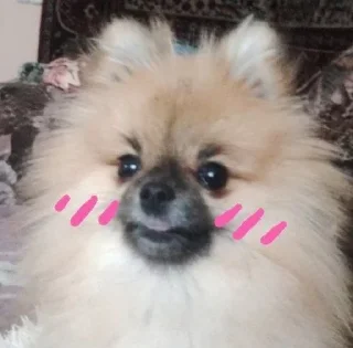 ☺