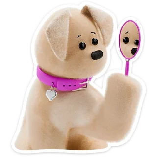 🐶