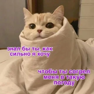 🫔