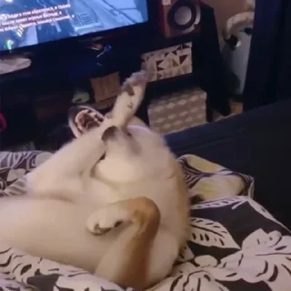 🤯